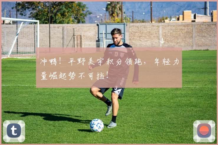 冲鸭!平野美宇积分领跑,年轻力量崛起势不可挡!